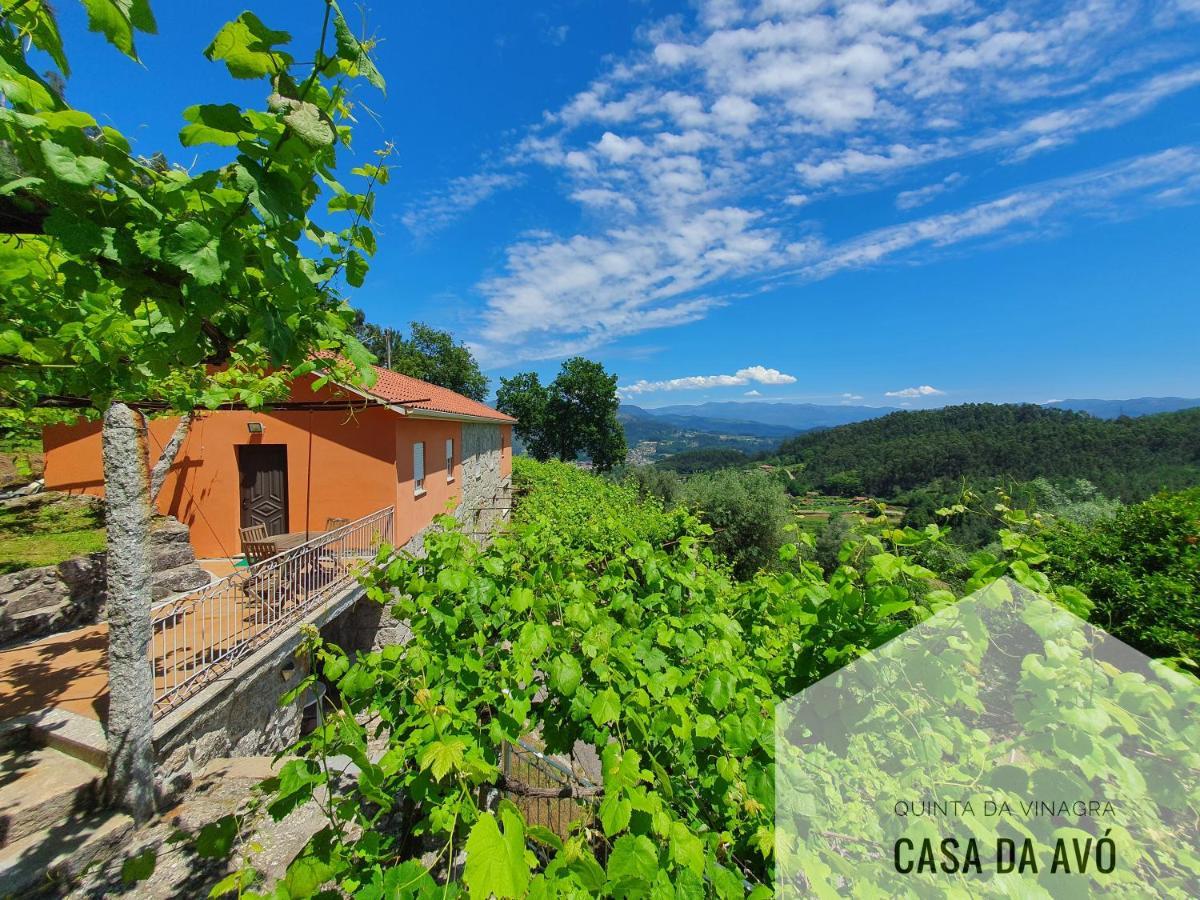 Quinta Da Vinagra Villa Tourim Eksteriør bilde