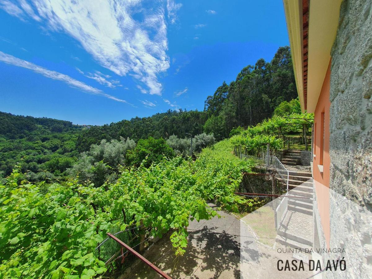 Quinta Da Vinagra Villa Tourim Eksteriør bilde